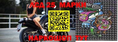 крисы Можга
