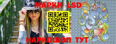 гашик Моздок