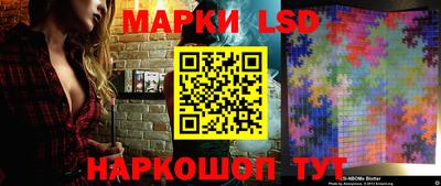 крисы Можга