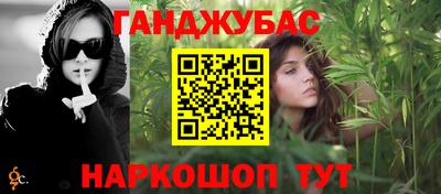 крисы Можга