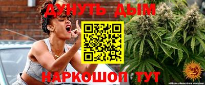крисы Можга