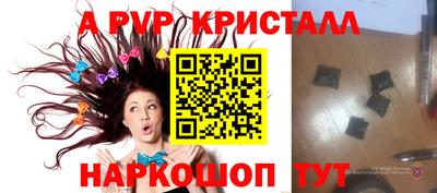 гашик Моздок