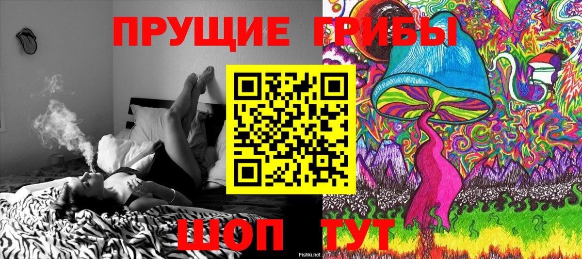 Галлюциногенные грибы прущие грибы  Вход с VPN  Губкинский 