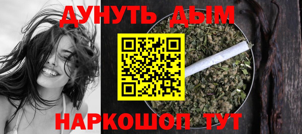 Конопля семена Губкинский